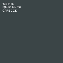 #3B4446 - Cape Cod Color Image
